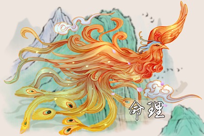 择吉老黄历|黄历择吉|择吉老皇历